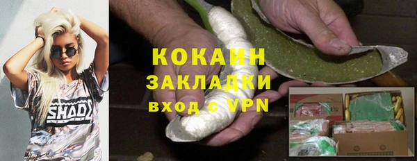 молекула духа Горнозаводск