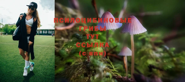 соль ск Горняк