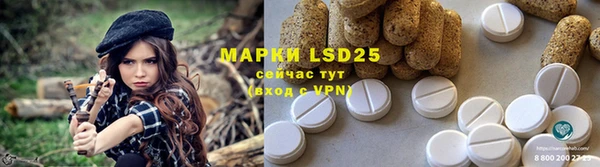 молекула духа Горнозаводск