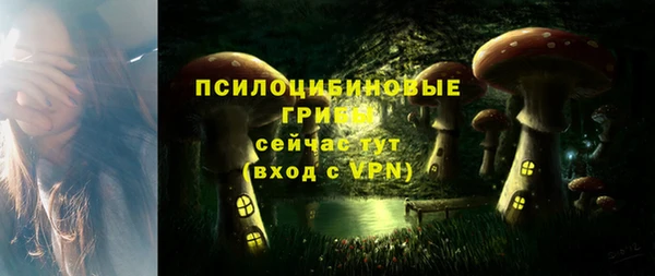 соль ск Горняк