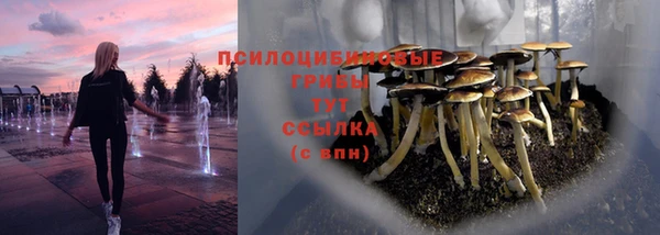соль ск Горняк