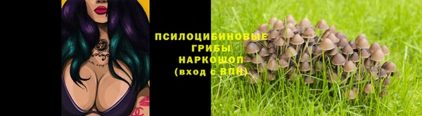 молекула духа Горнозаводск
