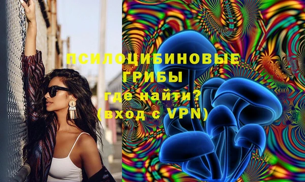 COCAINE Гусев