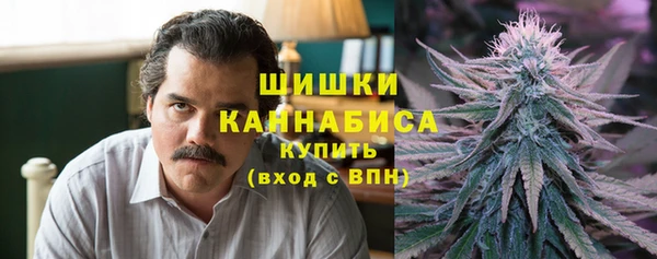 молекула духа Горнозаводск